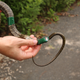 A Japanese rat snake is fit with a GPS transmitter that will allow researchers to track its movements over the next several weeks.